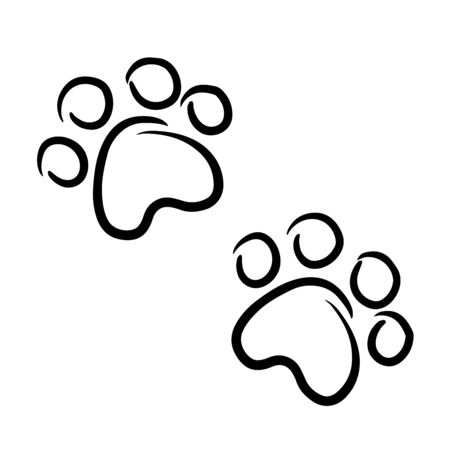 doodle sketch of animal footprints, illustration on white backgroundのイラスト素材