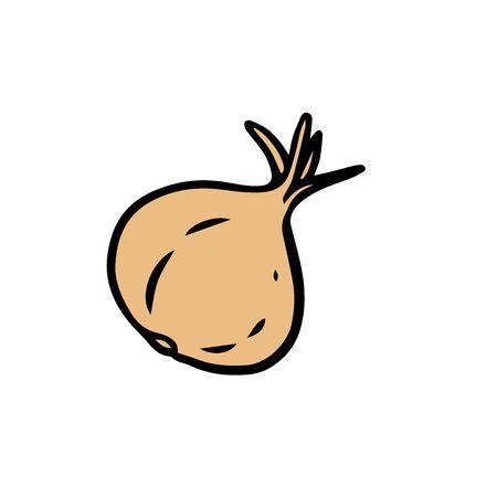 doodle sketch onion on white backgroundのイラスト素材