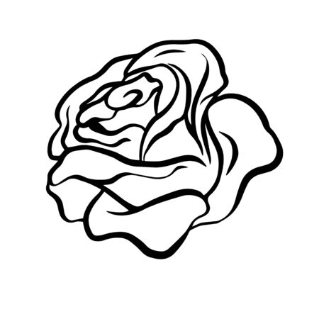 Doodle sketch rose, flower bud illustrationのイラスト素材