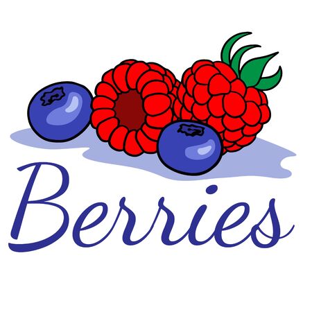 doodle sketch of berries, illustration of raspberries and blueberries on a white backgroundのイラスト素材