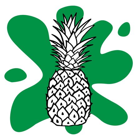 doodle pineapple sketch on white backgroundのイラスト素材