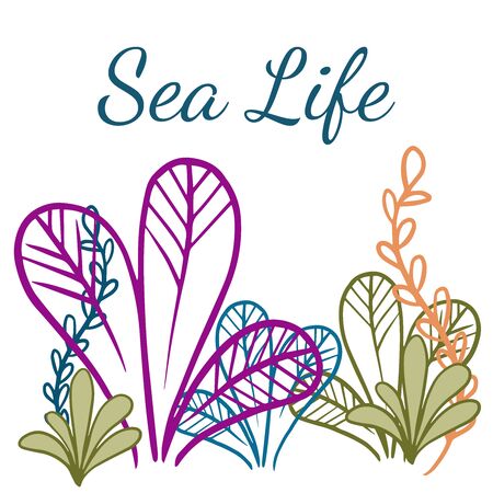 Doodle sketch drawing of algae on a white background, cartoon drawingのイラスト素材