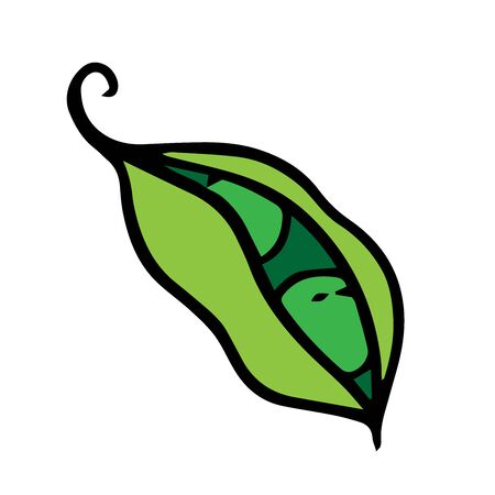doodle sketch green peas, cartoon drawing on a white backgroundのイラスト素材