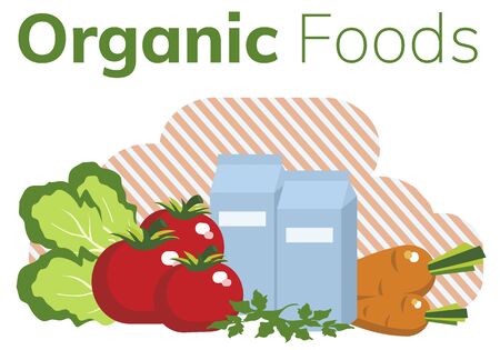 Simple flat illustration of organic food. Landing page, layout, banner with vegetables.のイラスト素材