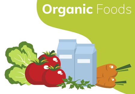 Simple flat illustration of organic food. Landing page, layout, banner with vegetables.のイラスト素材