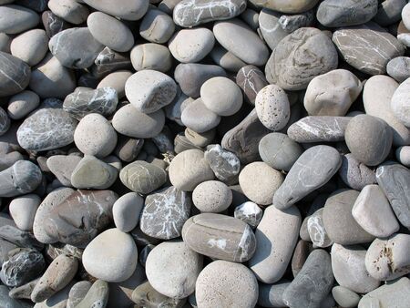 Marine wet pebbles of different colors illuminated by the sunの写真素材