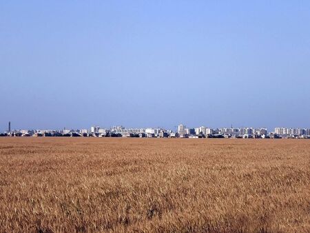 Large industrial city in the distance of a wheat field with a ripe harvestの写真素材