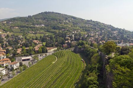 Panorama of Brescia: Monte Santa Croce, Vigneto Pusterla and castle parkの写真素材