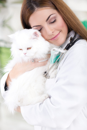 young female vet hugging white Persian catの写真素材
