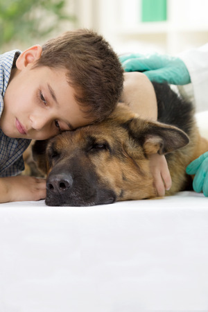 Dog and boy in veterinary clinicの写真素材