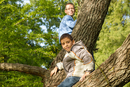 two smiling brothers enjoy in a treeの写真素材