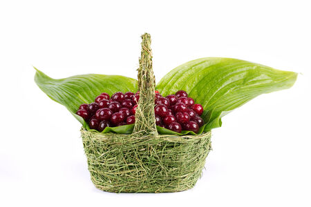 sweet cherry in green basketの写真素材