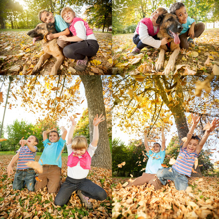 Collage of young children in the park with German Shepherdの写真素材