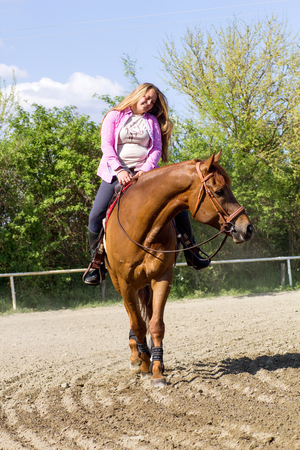 young smiling girl riding her brown horse in a training fieldの写真素材
