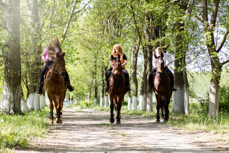 three women riding purebred brown horses in the forestの写真素材