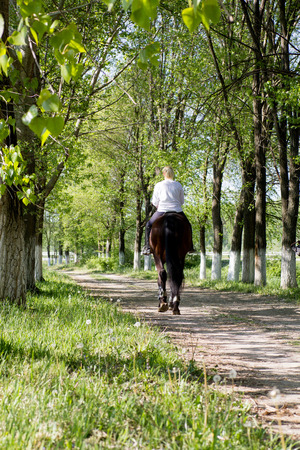 women riding purebred brown horses in the forestの写真素材
