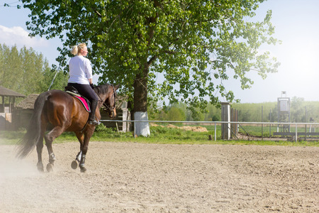 young smiling woman riding her brown horseの写真素材