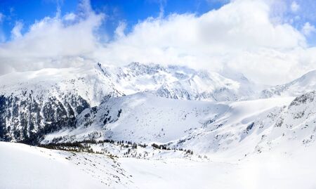 peaks of pine trees covered with snow, wonderful mountain landscapeの写真素材