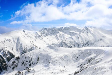 peaks of pine trees covered with snow, wonderful mountain landscapeの写真素材