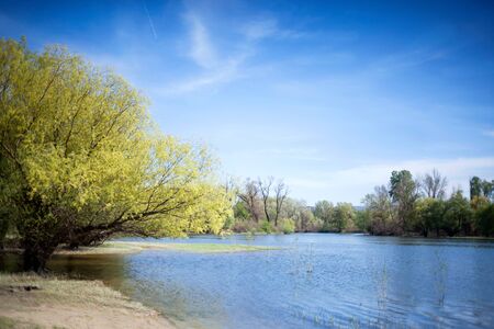 bayou on the blue Danube on sunny dayの写真素材