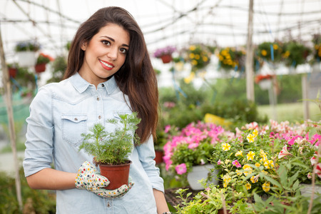 Female florist worker working at garden centreの写真素材