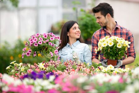 Florists couple working with flowers at a greenhouseの写真素材