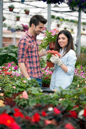 Florists couple working with flowers at a greenhouseの写真素材