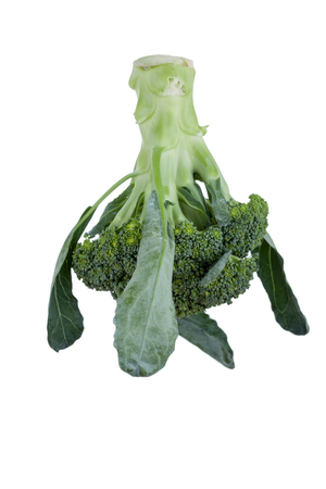 fresh Broccoli  on white backgroundの写真素材