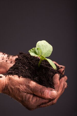 hands of  workers  who holding soil and plant,concept of ecology and environmental conservationの写真素材