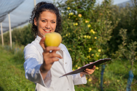 smiling agronomist with notebook standing in apple orchardの写真素材