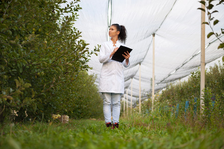 agronomist with notebook standing in apple orchard and checking the health of the apple treesの写真素材