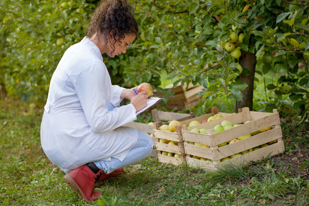happy young woman agronomist with red apple in her handの写真素材