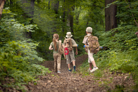 boys and girl go hiking with backpacks on forest road bright sunny dayの写真素材