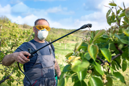 Agricultural worker spraying pesticide on fruit treesの写真素材