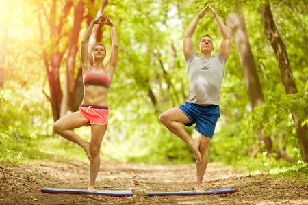 Young man and woman doing yoga in the sunny summer parkの写真素材