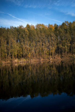Autumn forest river reflection landscapeの写真素材