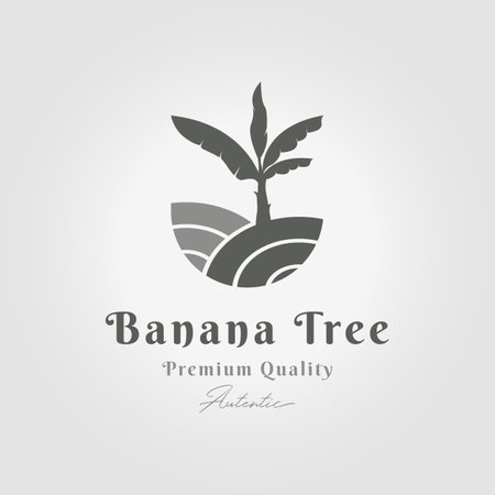 banana tree logo icon design vector minimal emblem, banana plantation illustrationのイラスト素材