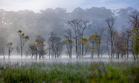 In autumn, trees change leaves on the lake surface and early in the morning