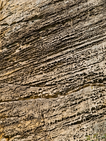 Sandstone texture with pores  Czech Republic の写真素材