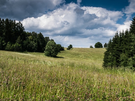 Beautiful summer meadow  Czech Republic  の写真素材