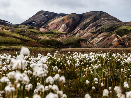 Rainbow mountains near Landmannalaugar  Iceland の写真素材