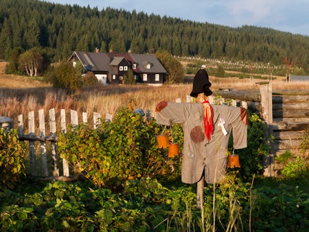 Scarecrow in the garden at evening timeの写真素材