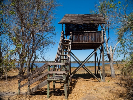 Watch tower near Dombo Hippo Pools (Mopane Tongue, Moremi Game Reserve, Botswana)の写真素材