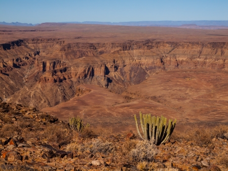 Fish River Canyon with cactus - The second largest canyon in the world (Namibia)の写真素材