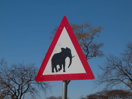 Beware of elephants - transportation signの写真素材