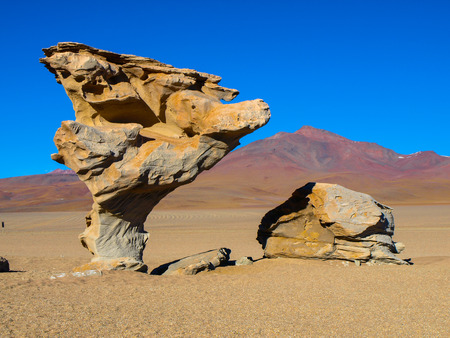 Famous stone tree on Altiplano in southern Boliviaの写真素材