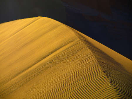 Golden sand dune ridge in evening timeの写真素材
