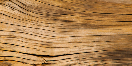 Old brown wood texture, detailed view, backgroundの写真素材