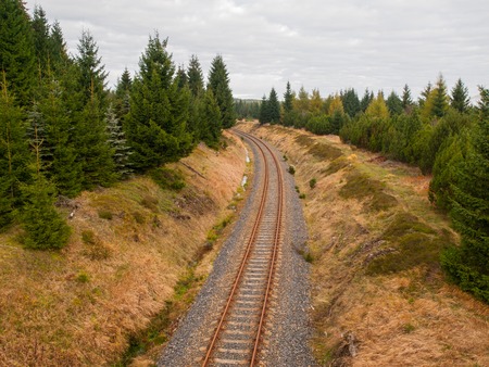 Railway in the young forest, autumn timeの写真素材
