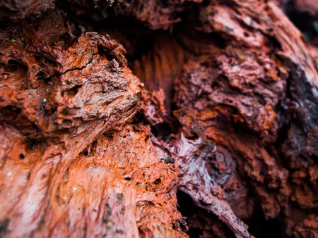 Texture of red volcanic stone made after solidification of lava, detailed view